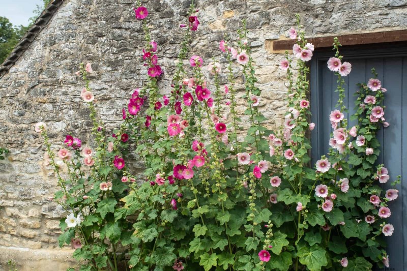 Creative Garden Mistakes: Turn  Oops  Moments into Design Strengths
