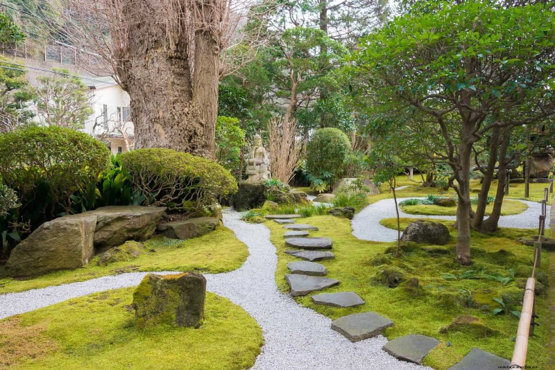 Creative Garden Mistakes: Turn  Oops  Moments into Design Strengths