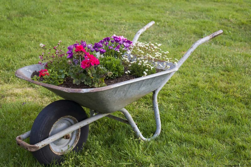 Creative Garden Mistakes: Turn  Oops  Moments into Design Strengths