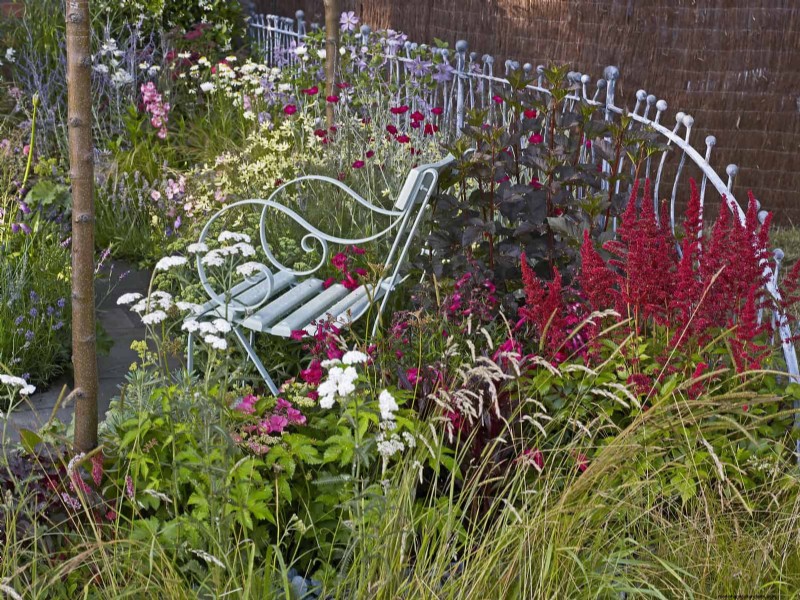 Creative Garden Mistakes: Turn  Oops  Moments into Design Strengths