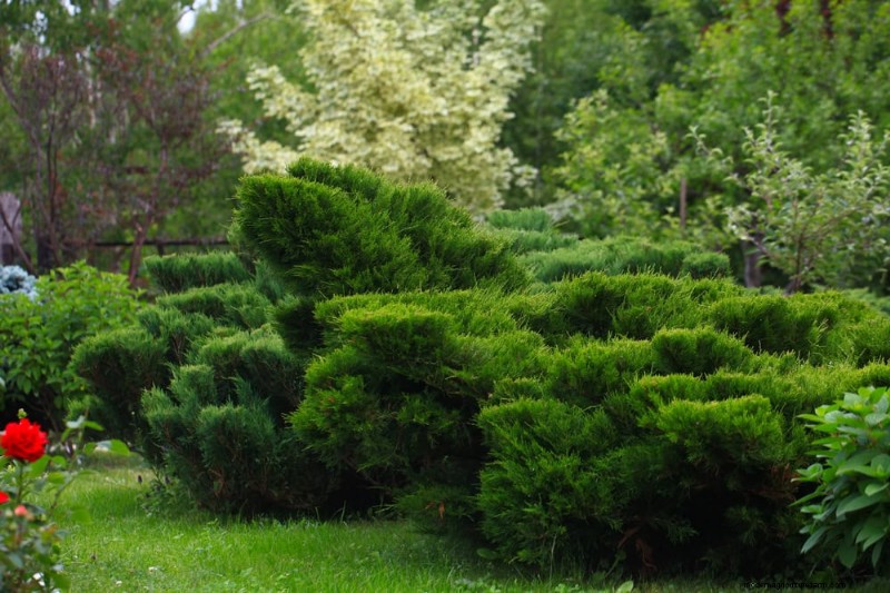 Fire-Safe Landscaping: 25 Risk Factors to Consider