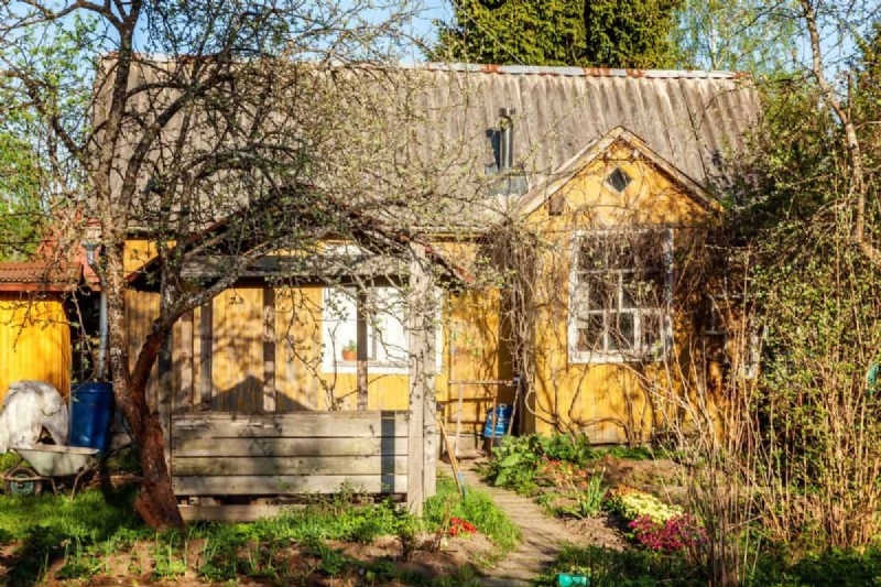 Fire-Safe Landscaping: 25 Risk Factors to Consider