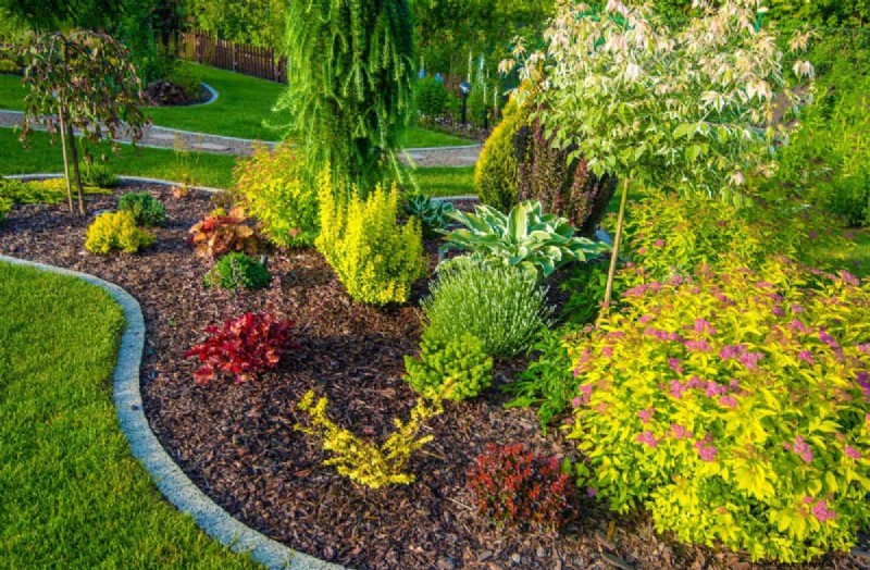 Fire-Safe Landscaping: 25 Risk Factors to Consider