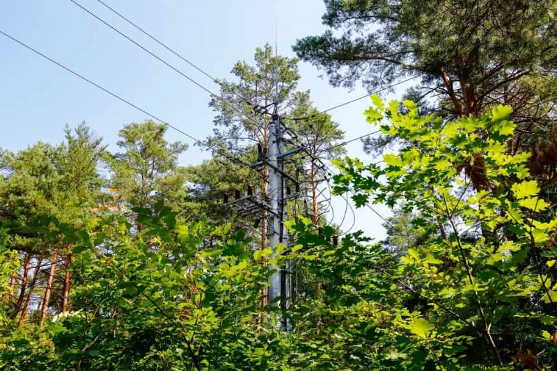 Fire-Safe Landscaping: 25 Risk Factors to Consider