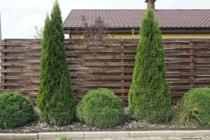 Fire-Safe Landscaping: 25 Risk Factors to Consider