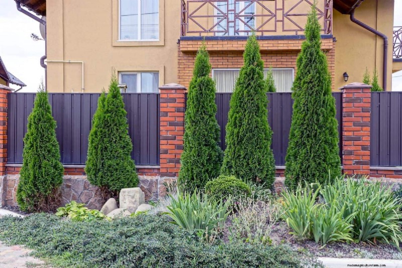 Fire-Safe Landscaping: 25 Risk Factors to Consider