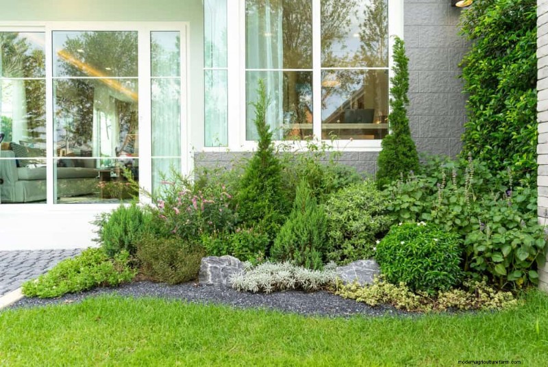 Fire-Safe Landscaping: 25 Risk Factors to Consider