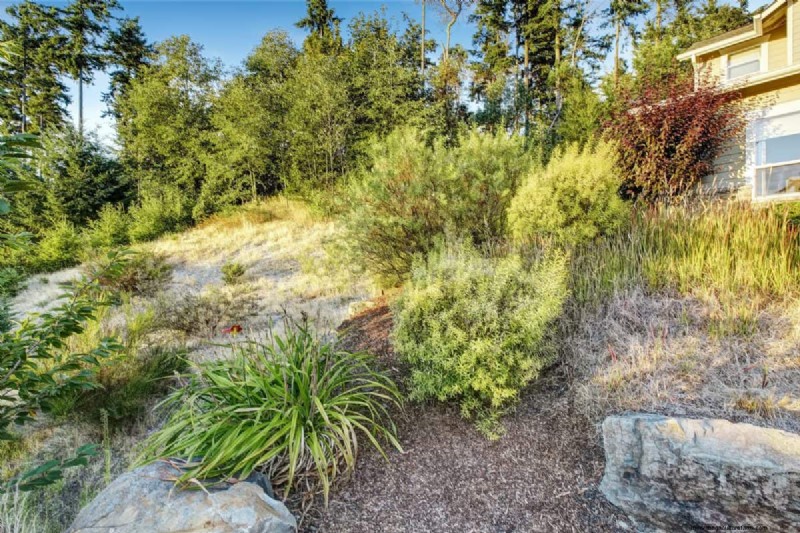 Fire-Safe Landscaping: 25 Risk Factors to Consider