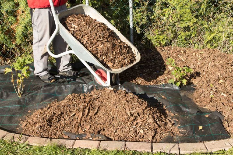 Fire-Safe Landscaping: 25 Risk Factors to Consider