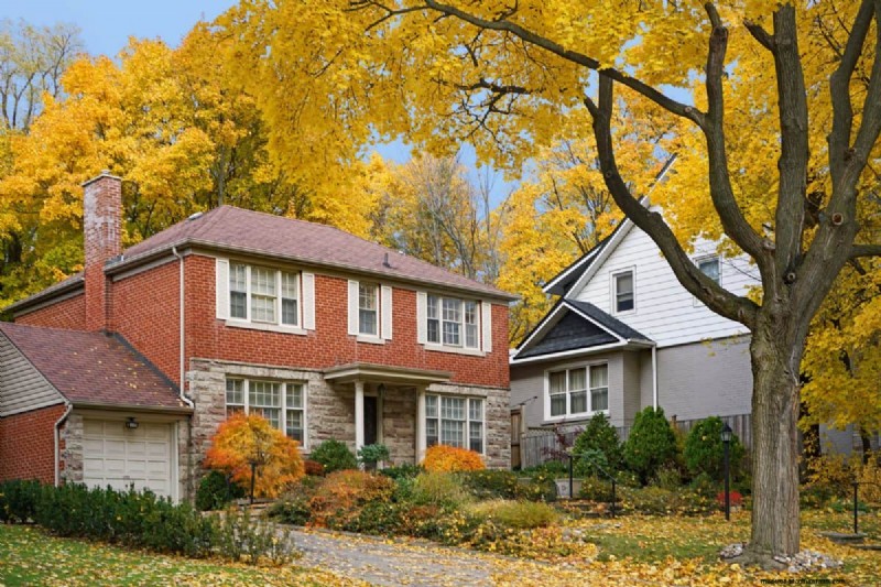 Fire-Safe Landscaping: 25 Risk Factors to Consider