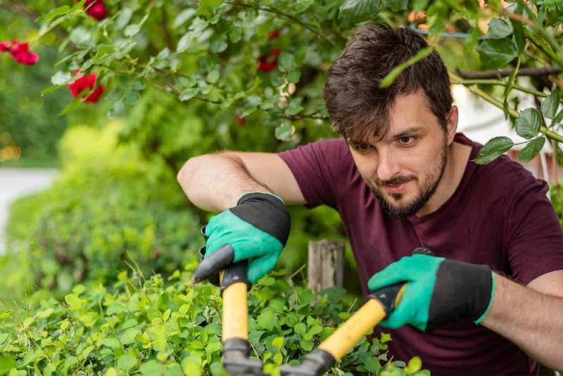 Common Landscaping Mistakes & How to Fix Them