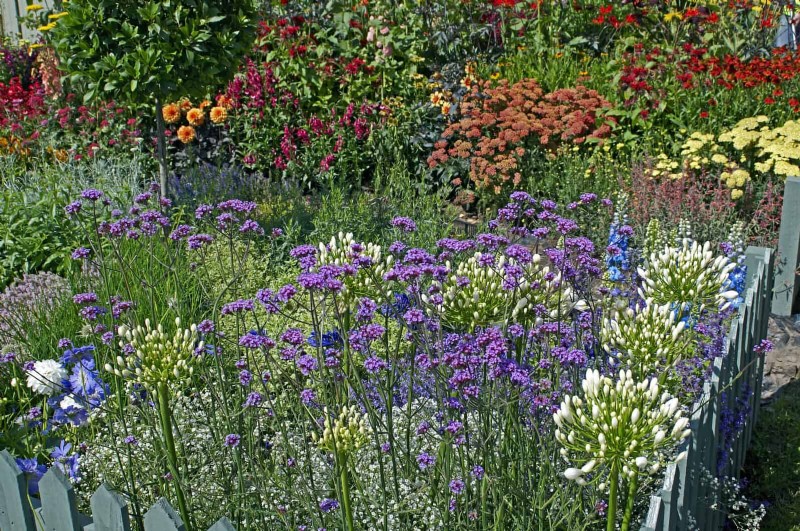 Common Landscaping Mistakes & How to Fix Them
