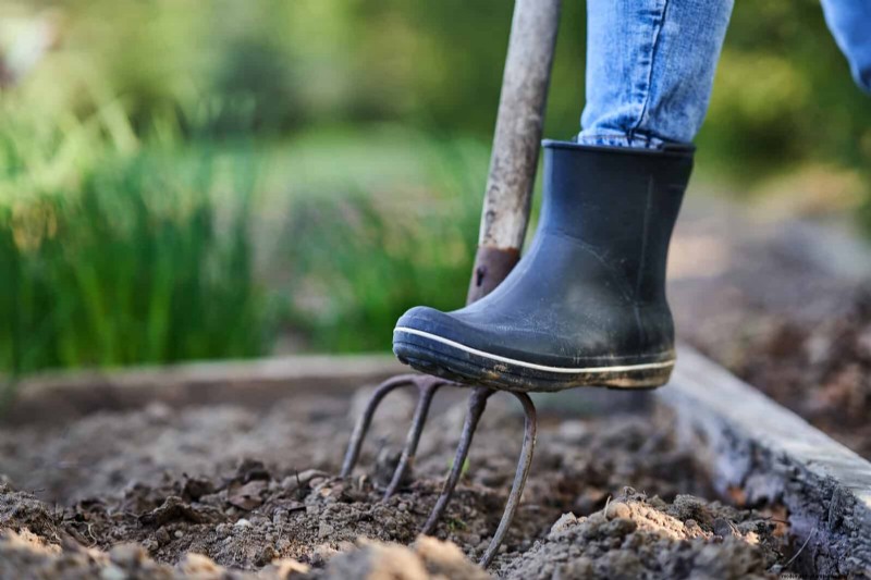 Common Landscaping Mistakes & How to Fix Them