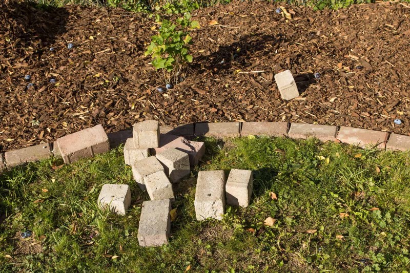 Common Landscaping Mistakes & How to Fix Them