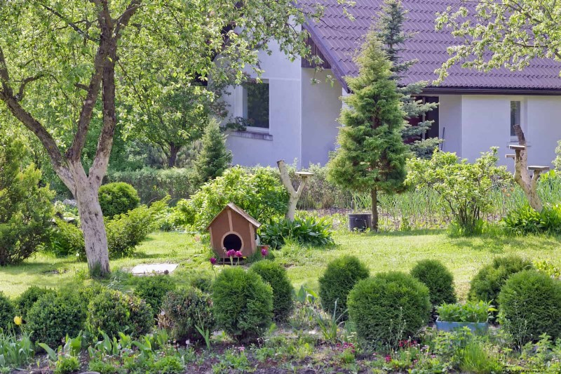 Common Landscaping Mistakes & How to Fix Them