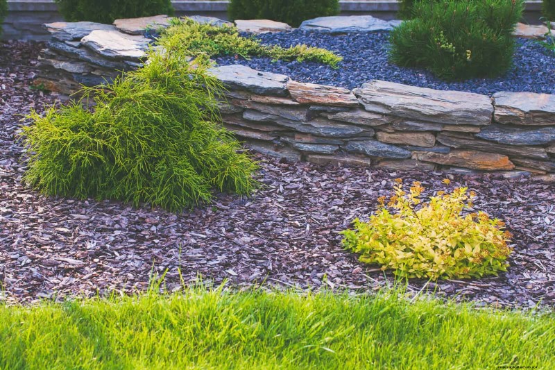 Common Landscaping Mistakes & How to Fix Them