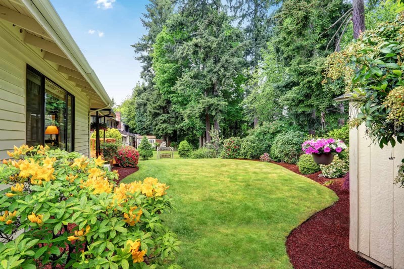 Common Landscaping Mistakes & How to Fix Them