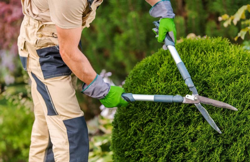 Common Landscaping Mistakes & How to Fix Them