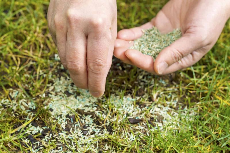 Common Landscaping Mistakes & How to Fix Them