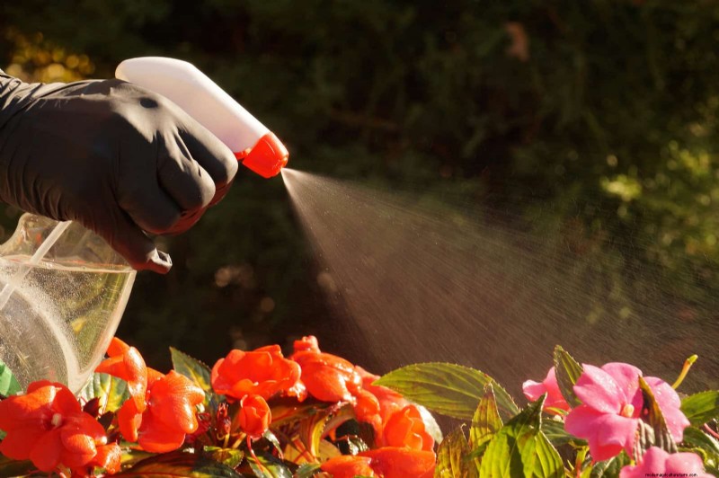 Common Landscaping Mistakes & How to Fix Them