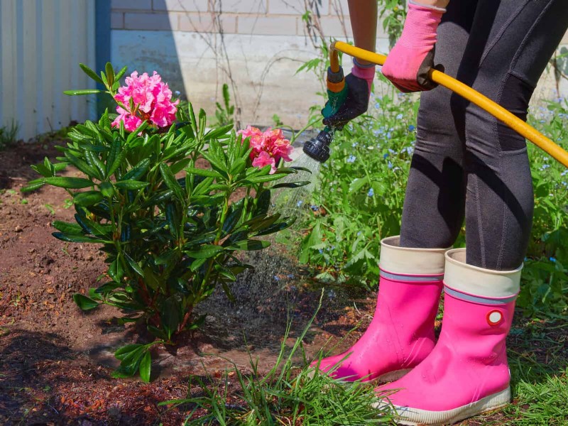 Common Landscaping Mistakes & How to Fix Them