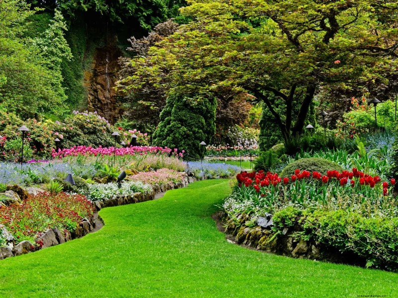 Common Landscaping Mistakes & How to Fix Them