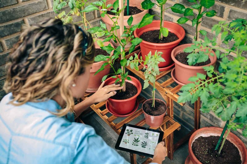 Spring Fertilizing: Why Delaying Feeding Benefits Your Garden