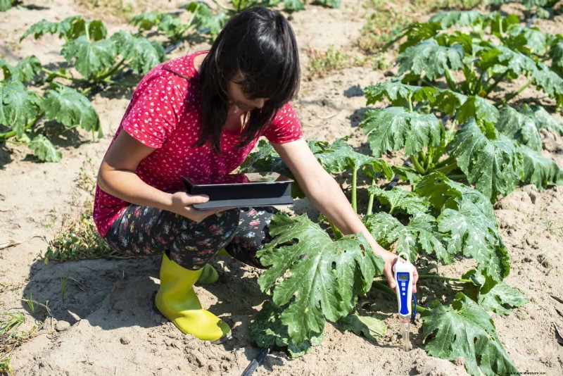 Spring Fertilizing: Why Delaying Feeding Benefits Your Garden