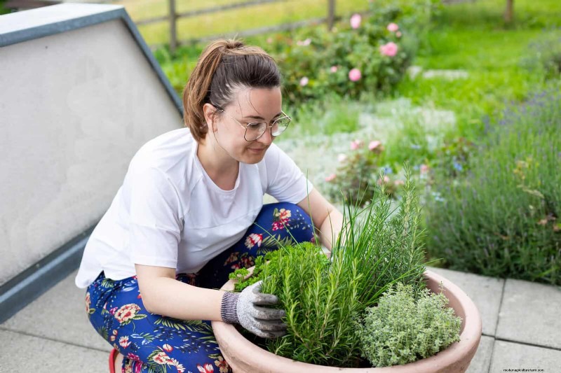 Spring Fertilizing: Why Delaying Feeding Benefits Your Garden