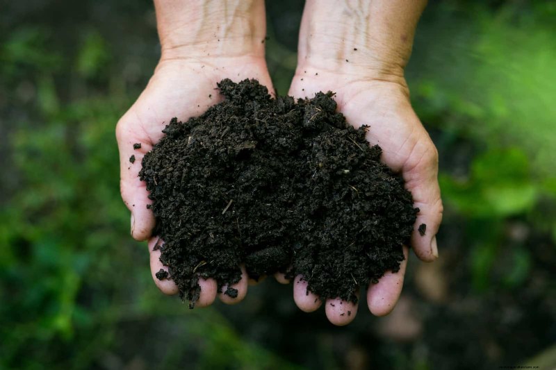 Spring Fertilizing: Why Delaying Feeding Benefits Your Garden