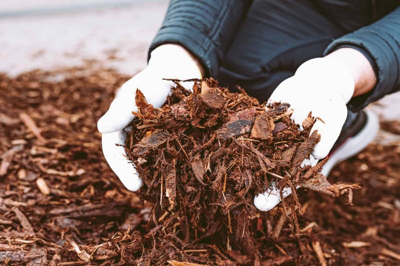 Spring Fertilizing: Why Delaying Feeding Benefits Your Garden