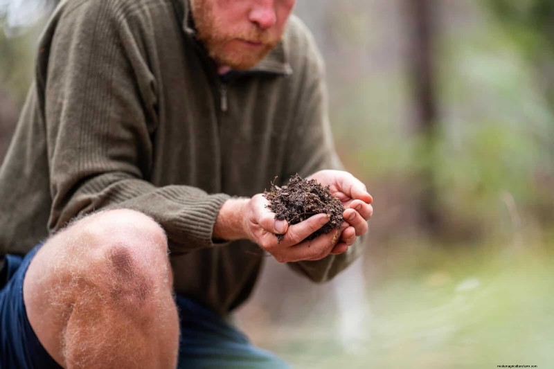Spring Fertilizing: Why Delaying Feeding Benefits Your Garden