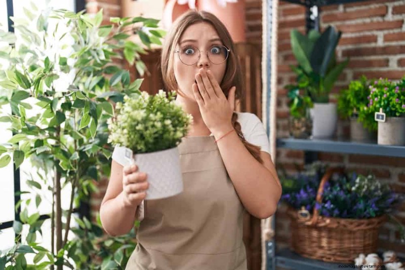 25 Common Gardening Myths Debunked for Beginner Gardeners