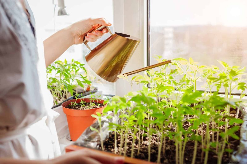25 Common Gardening Myths Debunked for Beginner Gardeners
