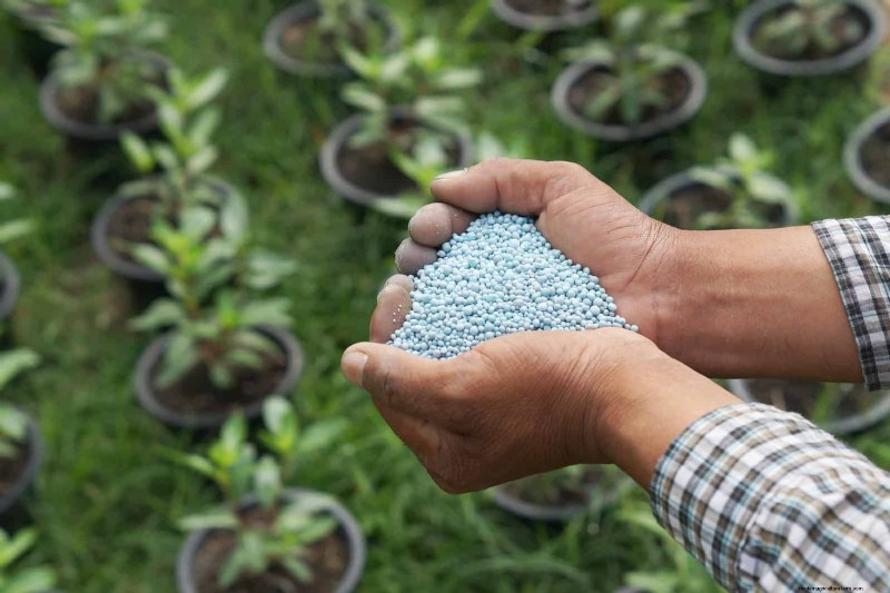 25 Common Gardening Myths Debunked for Beginner Gardeners