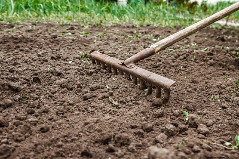 25 Common Gardening Myths Debunked for Beginner Gardeners
