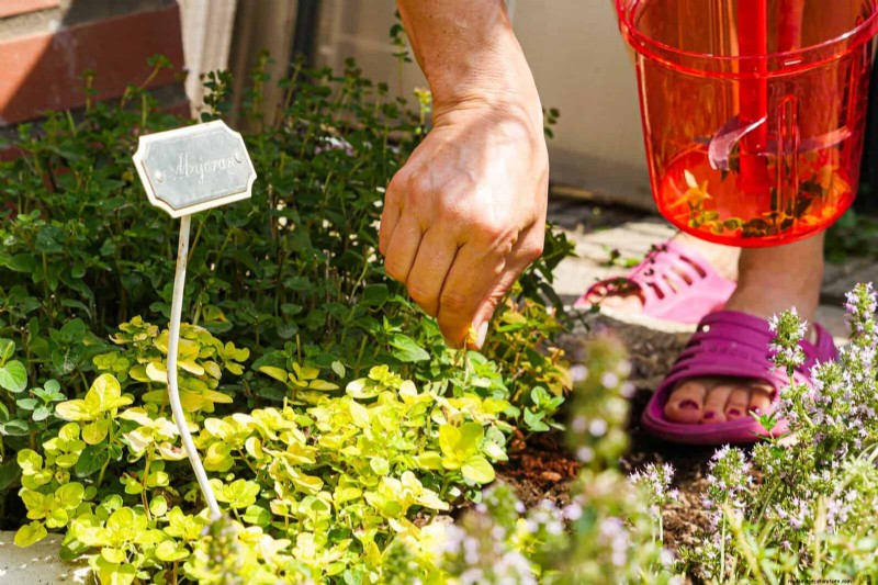 25 Common Gardening Myths Debunked for Beginner Gardeners