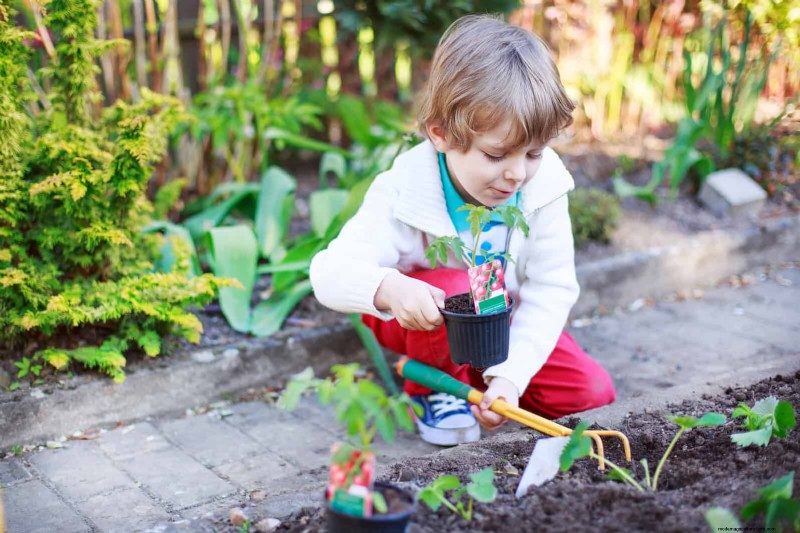 25 Common Gardening Myths Debunked for Beginner Gardeners