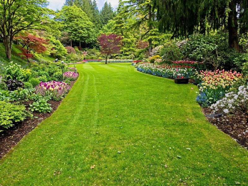 25 Common Gardening Myths Debunked for Beginner Gardeners