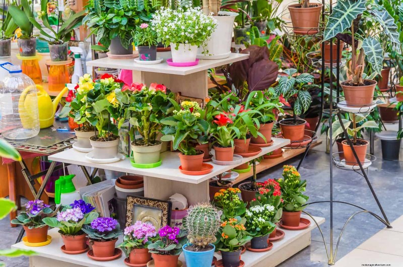 25 Common Gardening Myths Debunked for Beginner Gardeners