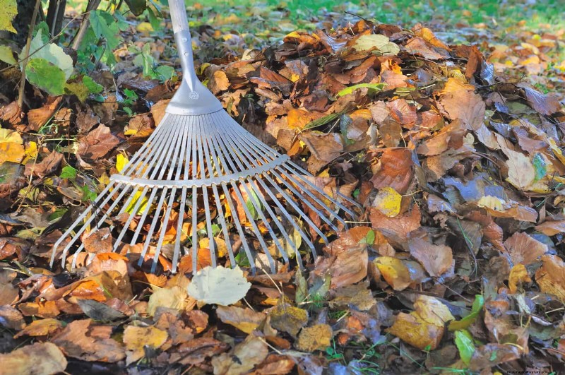 25 Common Gardening Myths Debunked for Beginner Gardeners