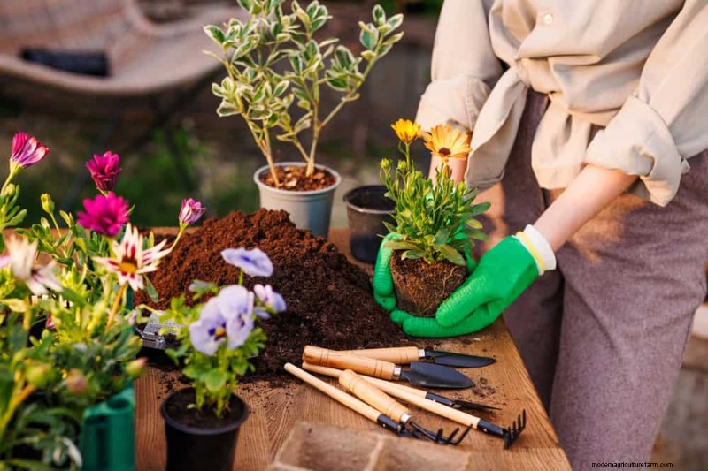 25 Common Gardening Myths Debunked for Beginner Gardeners