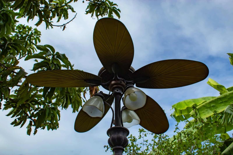 Common Yard Problems & Easy Solutions: A Gardener s Guide