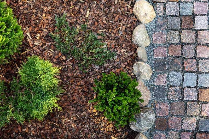 Common Yard Problems & Easy Solutions: A Gardener s Guide