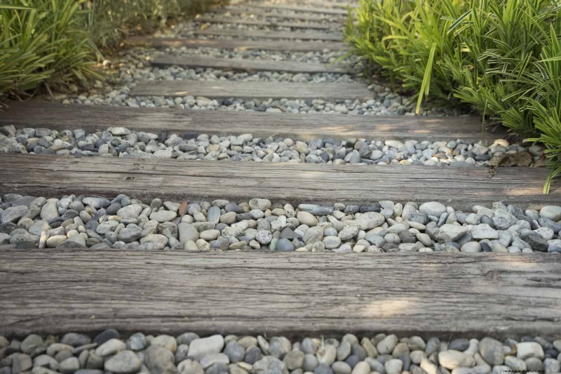 Common Yard Problems & Easy Solutions: A Gardener s Guide