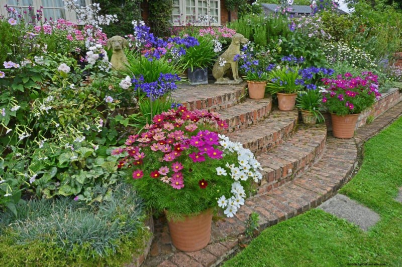 Common Yard Problems & Easy Solutions: A Gardener s Guide