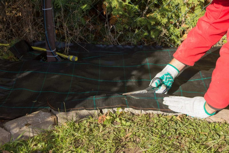 Common Yard Problems & Easy Solutions: A Gardener s Guide
