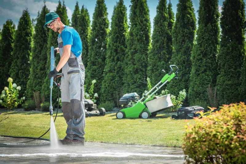 Common Yard Problems & Easy Solutions: A Gardener s Guide