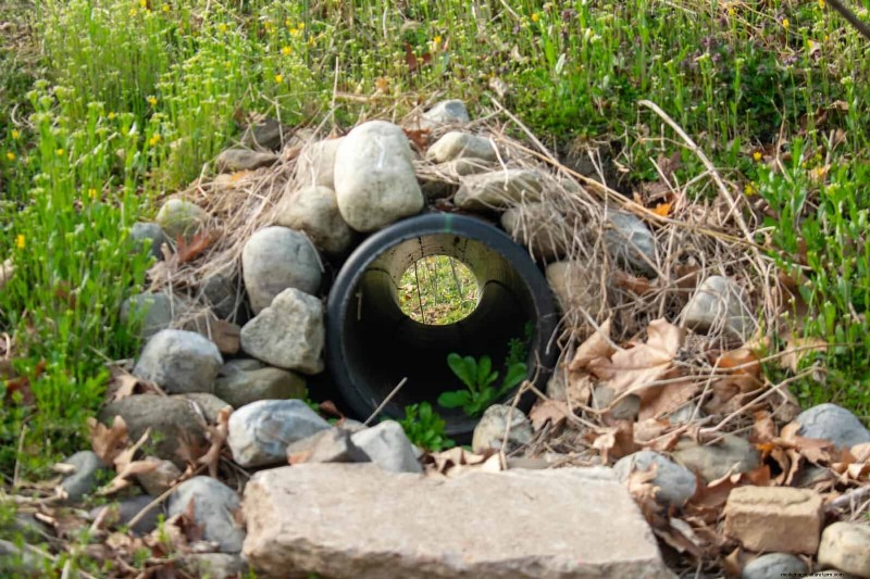Common Yard Problems & Easy Solutions: A Gardener s Guide