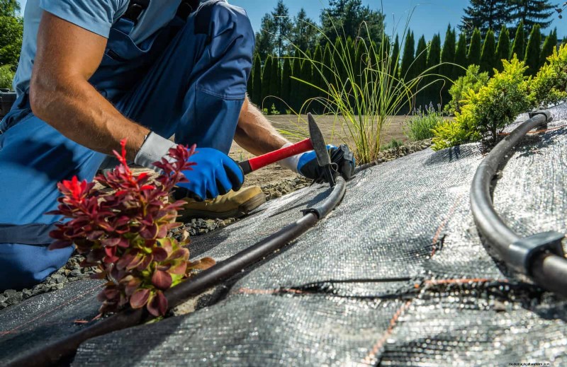 Common Yard Problems & Easy Solutions: A Gardener s Guide